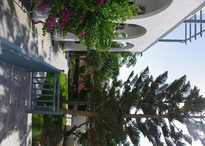 Отель Iris Boutique 3*