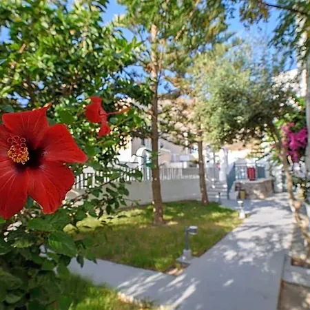 Iris Boutique