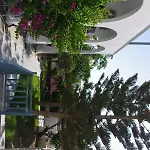Otel Iris Boutique 3*