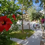 Iris Boutique